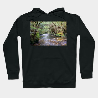 Pencil Pine Creek, Cradle Mountain, Tasmania, Australia Hoodie